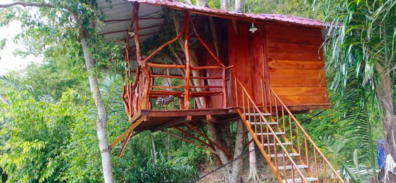 Pondok Berata Dapdap Balige Extérieur photo